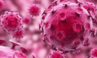 HPV e câncer de colo de útero